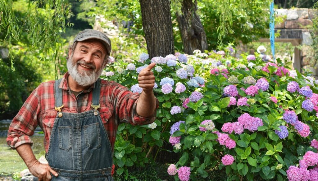 Evita quest'errore: il posto sbagliato per la tua ortensia in giardino