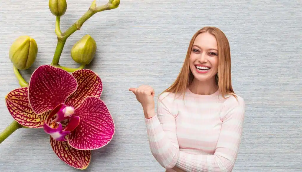 Le tue orchidee sopravvivranno all'inverno grazie a questo trucco geniale