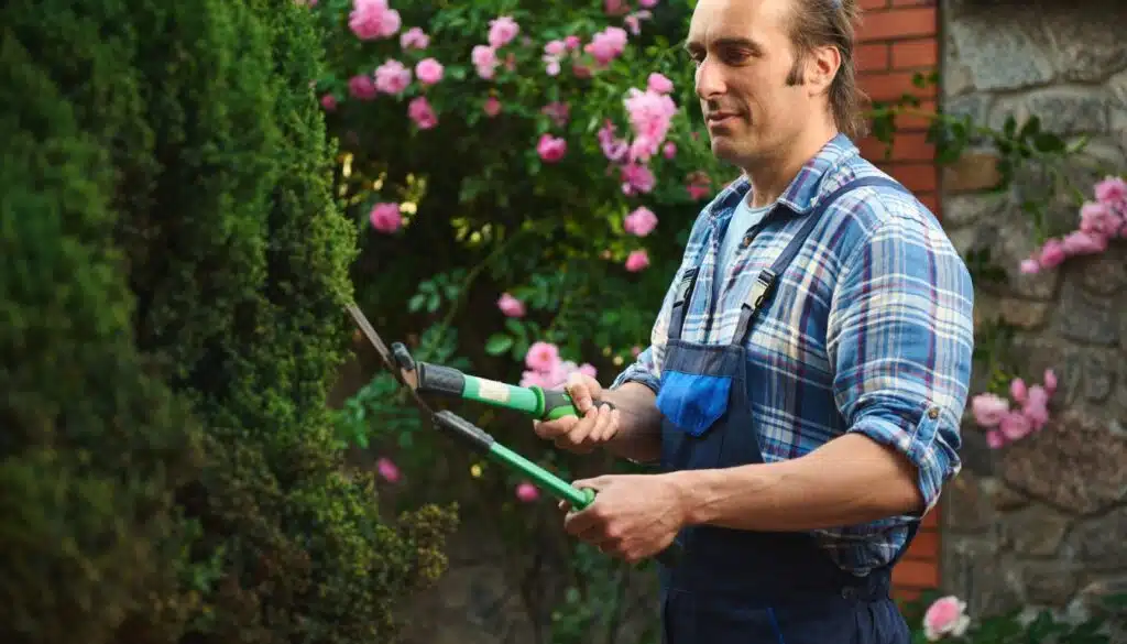 Dai nuova vita al tuo giardino a gennaio con una potatura intelligente