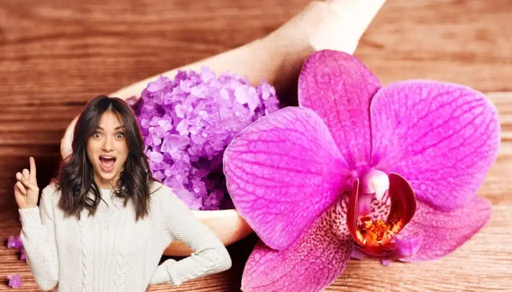 Orchidee e cristalli: la combinazione sorprendente che sta rivoluzionando la crescita delle piante