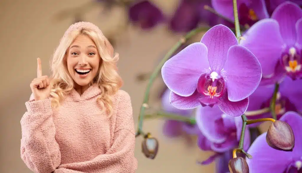 La tua orchidea è in crisi? Ecco cosa le impedisce di fiorire!