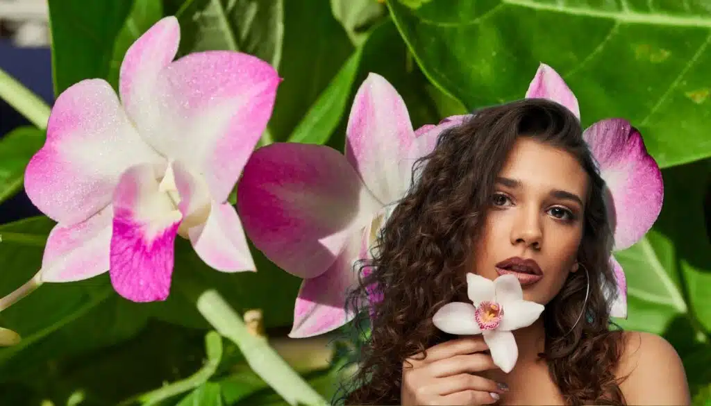 Il metodo hawaiano per far fiorire le orchidee: risultati straordinari in soli 15 giorni