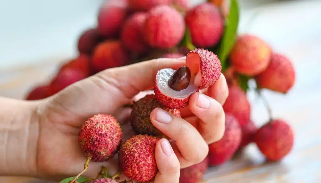 Vuoi una pianta eccezionale nel 2025? Parti da un semplice nocciolo di litchi