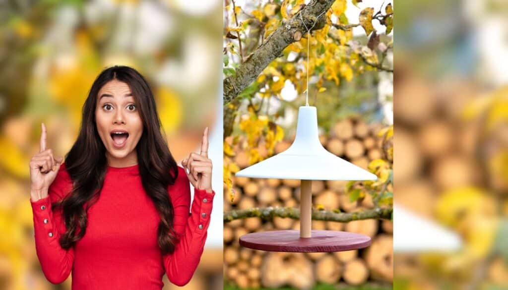 Costruisci una casetta per uccelli con gli hack IKEA e stupisci i tuoi vicini!