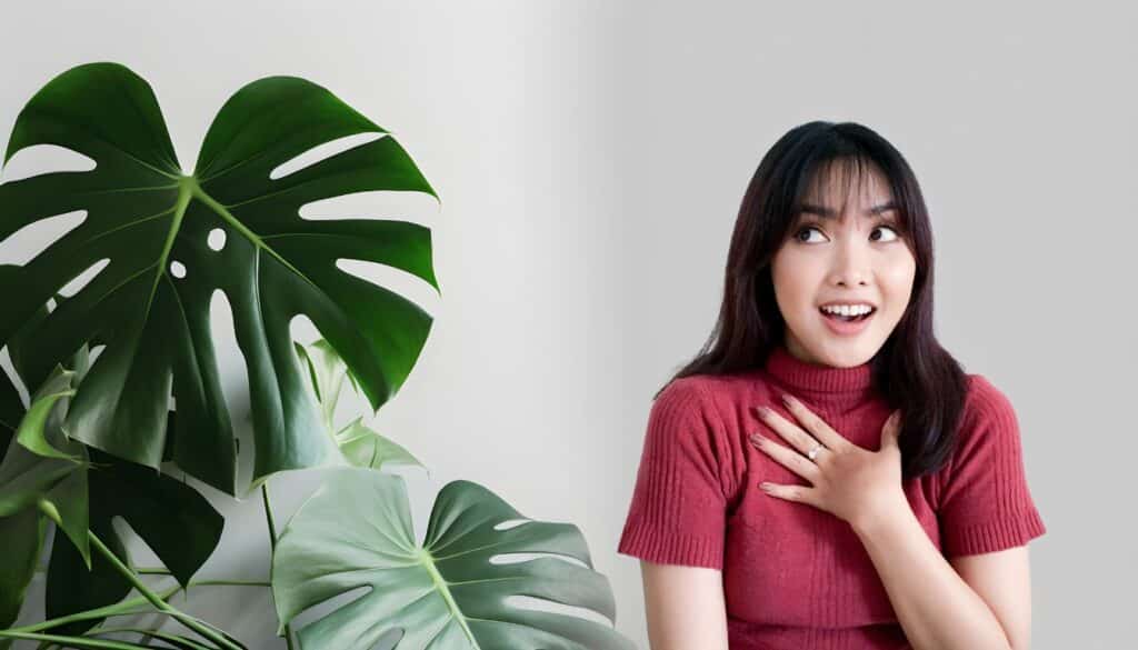 Vuoi una Monstera rampicante da sogno in 30 giorni? Ecco come fare