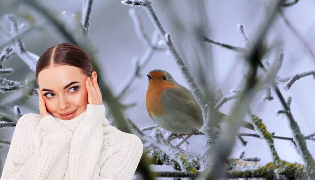 Abbellisci il tuo giardino d'inverno: i 7 arbusti che incanteranno gli uccelli