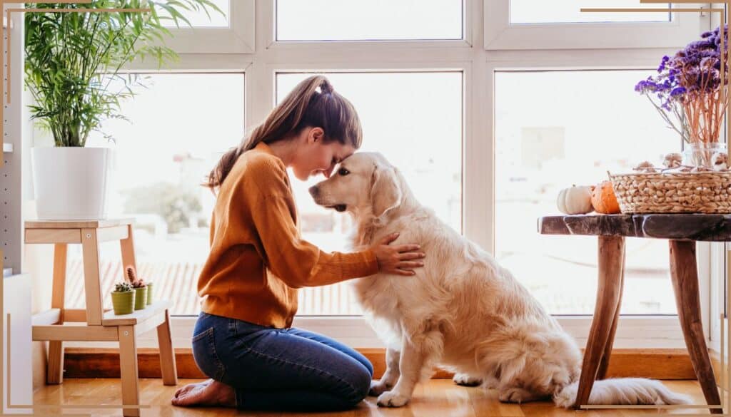 Vuoi un legame speciale col tuo cane? Ecco i 5 segreti che non puoi ignorare!