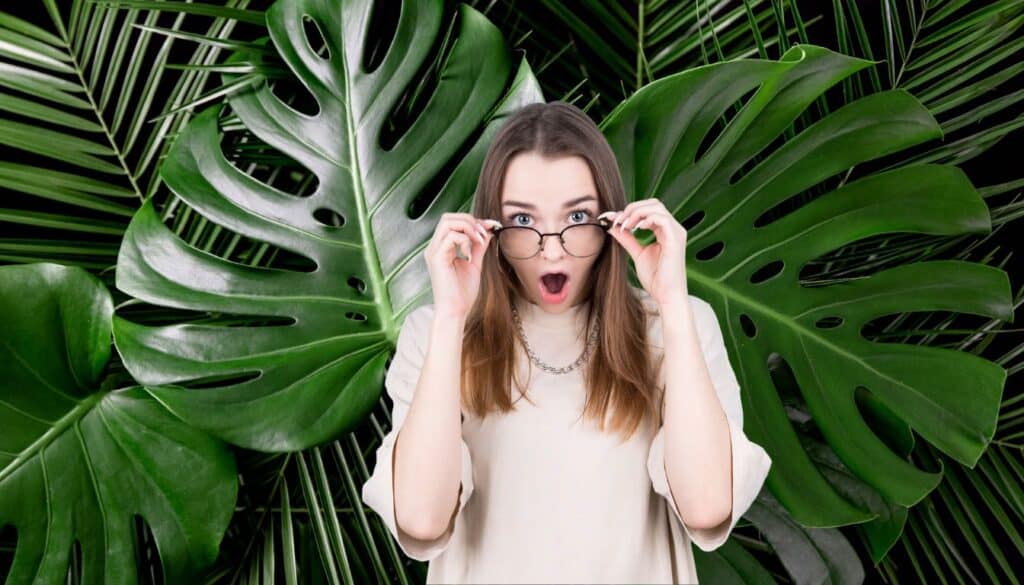 Come moltiplicare la Monstera: il metodo infallibile che funziona al 100%