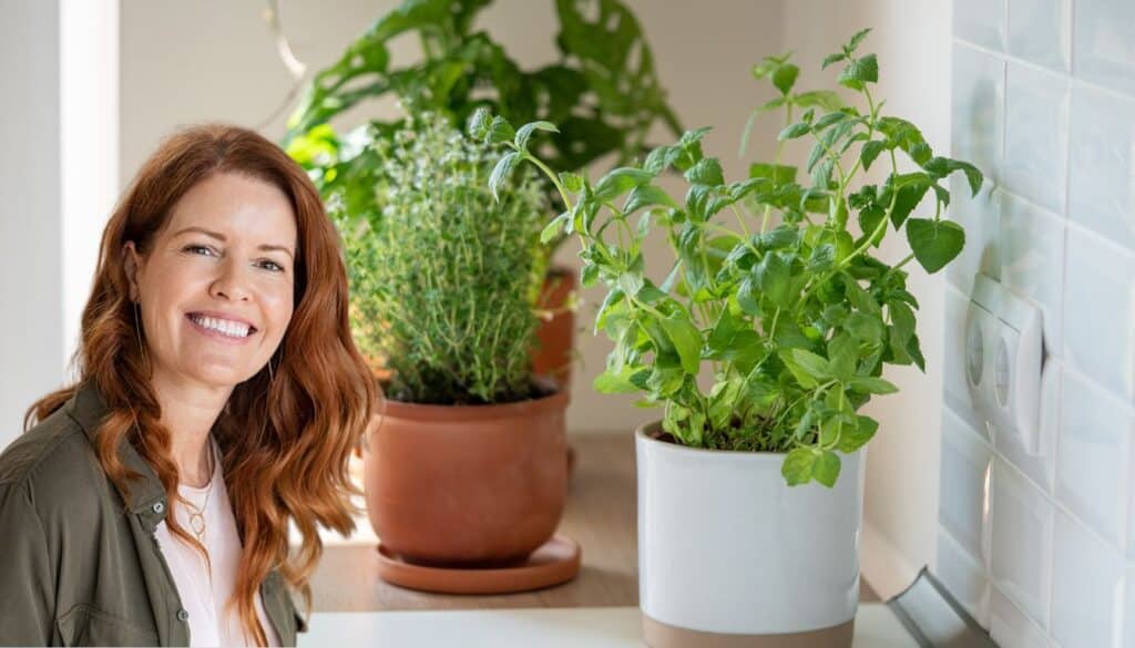 Piante aromatiche a rischio? Scopri come farle rifiorire anche quando fa freddo