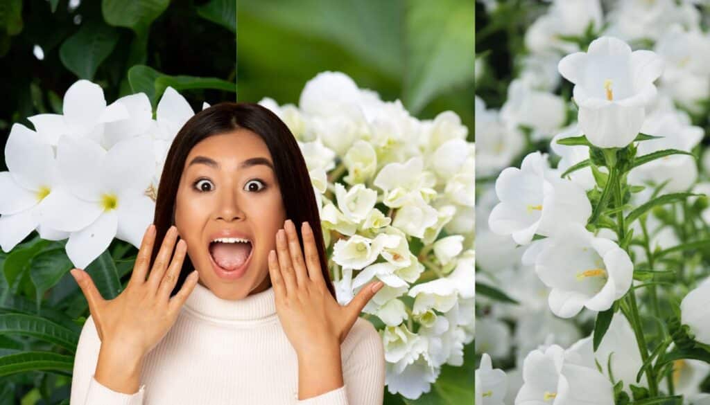 Queste varietà di fiori bianchi renderanno il tuo giardino un luogo incantevole!